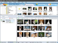 Photo Album DVD Professional screenshot